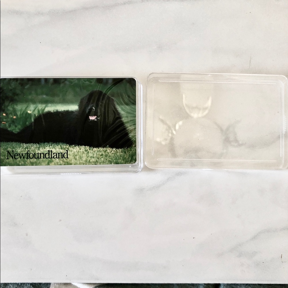 Newfoundland dog vintage/new deck playing cards